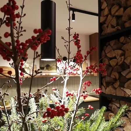 Casa de Férias Gora - For 22 Guests, пампорово, Rhodope Mountains