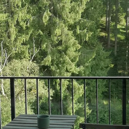 Gora - For 22 Guests, пампорово, Rhodope Mountains *