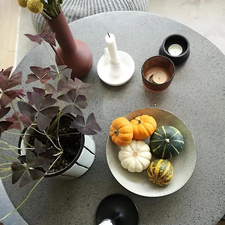 펜션 Gora - For 22 Guests, пампорово, Rhodope Mountains *