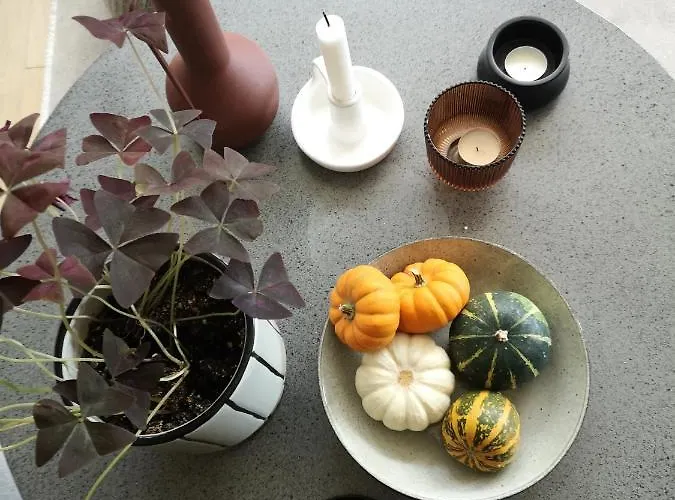 Dom wakacyjny Gora - For 22 Guests, пампорово, Rhodope Mountains *